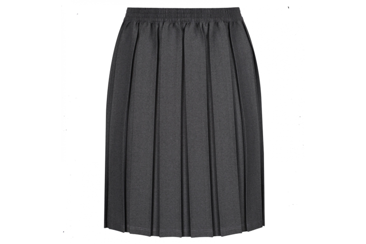 Girls Pleated Skirt