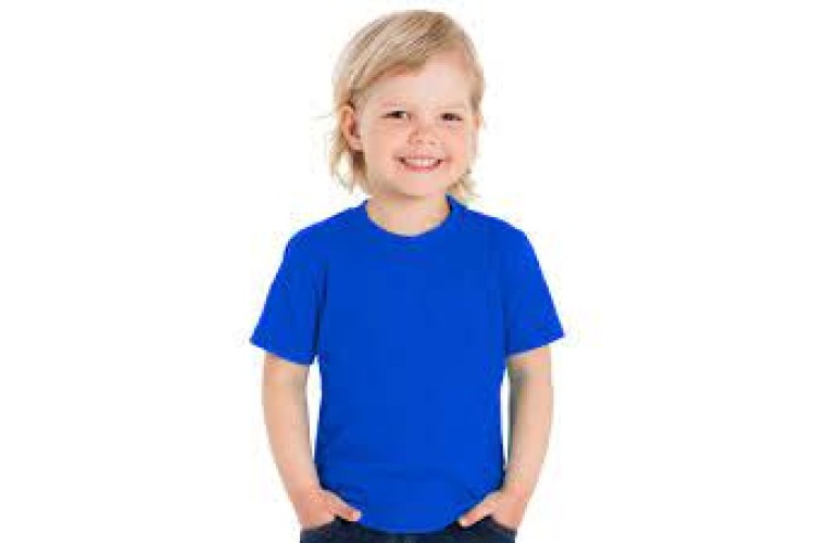 Borden Primary House Colour PE T-Shirt with Logo