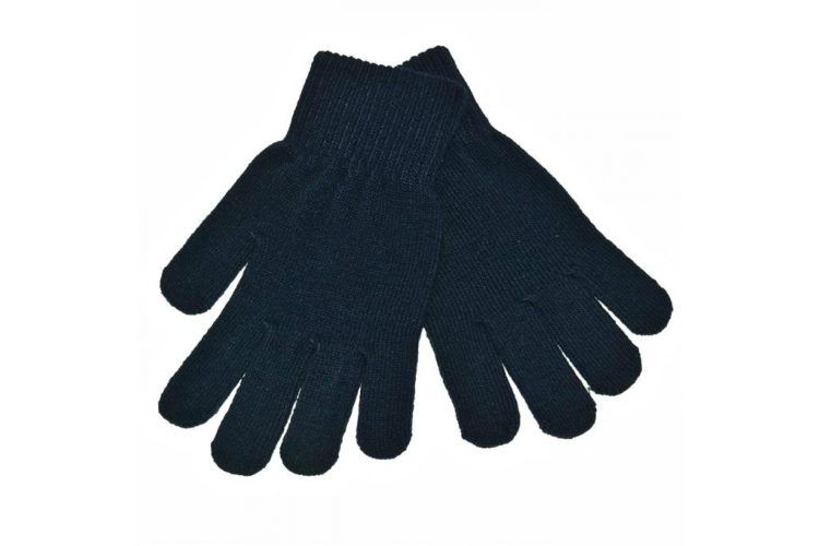 Navy Winter Gloves